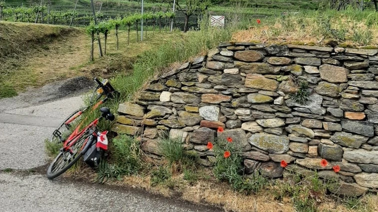 Sarnia area cyclist recalls 'heartwarming' enthusiasm for Canada during recent Austrian holiday