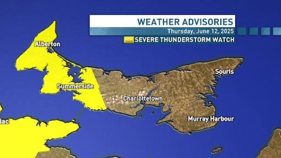 Severe thunderstorm watch issued for P.E.I.'s Prince County