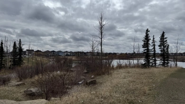 Calgary continues efforts to plant nearly a million trees, and better balance local canopy