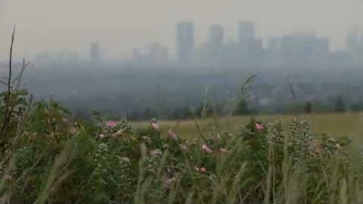 Wildfire smoke carries short- and long-term health risks, Alberta experts warn
