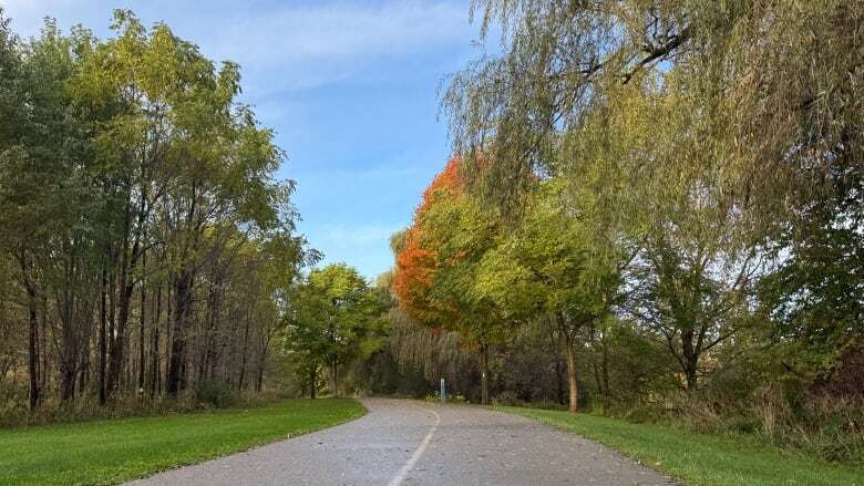 Playgrounds, trees and a neighbourhood art show: City reveals community projects it will fund