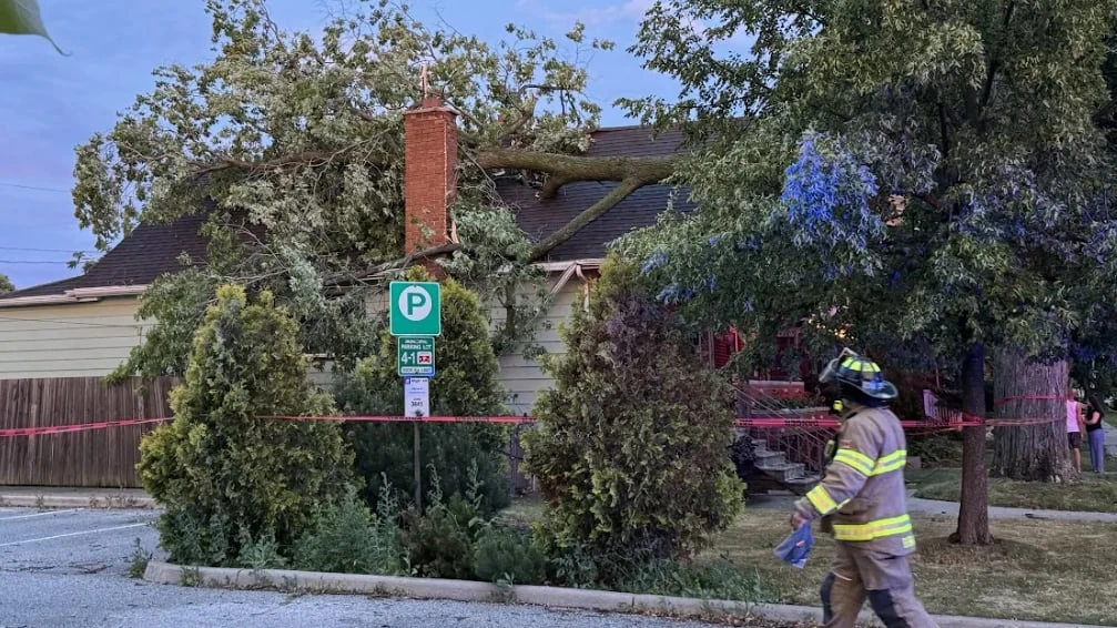 High winds down trees, sudden storms knock out power in southwestern Ontario