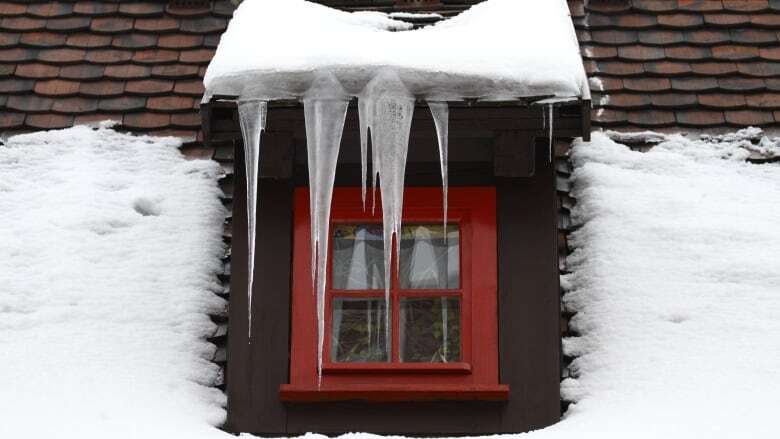 What to do when it's freezing and your power goes out in Windsor, Ont.