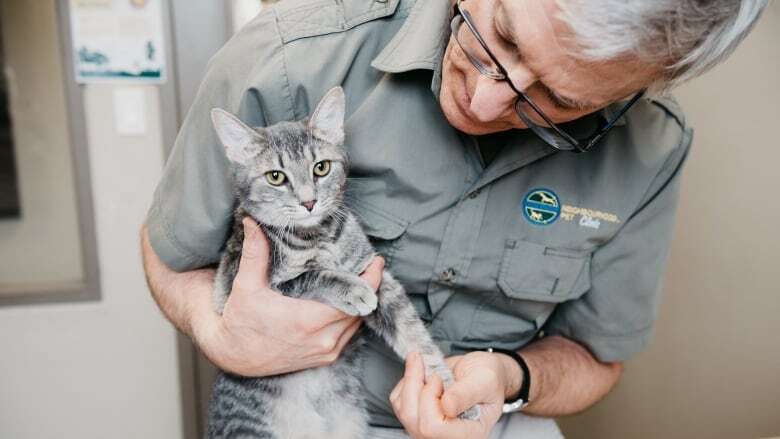 As vet giants buy up more clinics, these London vets are keeping their independence