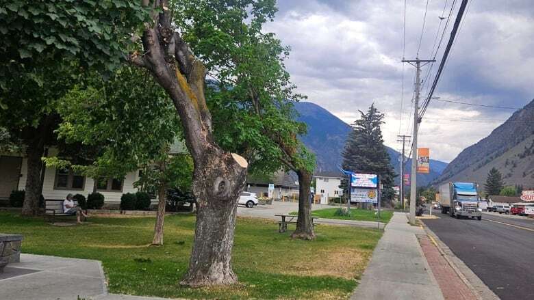 Keremeos, B.C., residents frustrated by FortisBC's 'devastating' tree trims