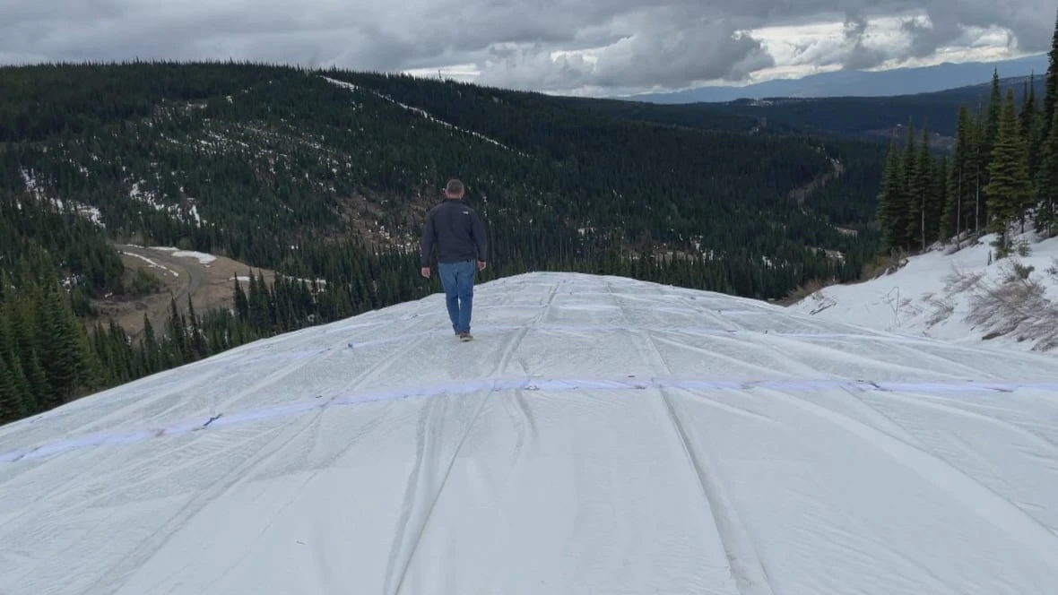 The surprisingly low-tech way a B.C. ski resort is saving its snow