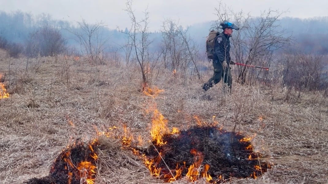 Setting fires at Riding Mountain National Park to save endangered grasslands