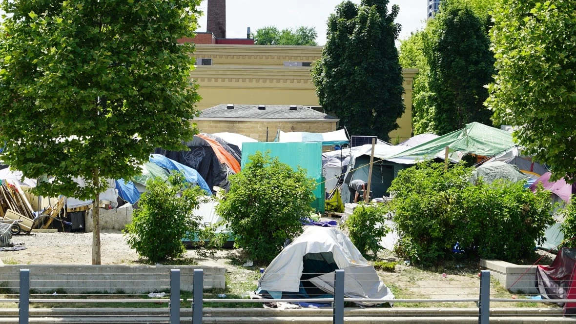 Region's plan to clear Kitchener encampment raises concerns for federal housing advocate