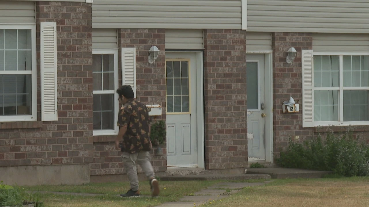 University and college students on P.E.I. say there's more to choose from but rents are still high