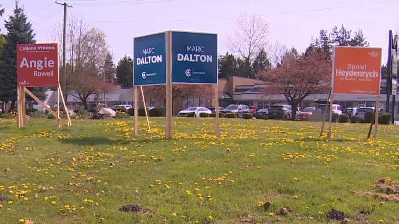 'Nail-biter' result predicted in Pitt Meadows-Maple Ridge as voters weigh international, hyper-local issues