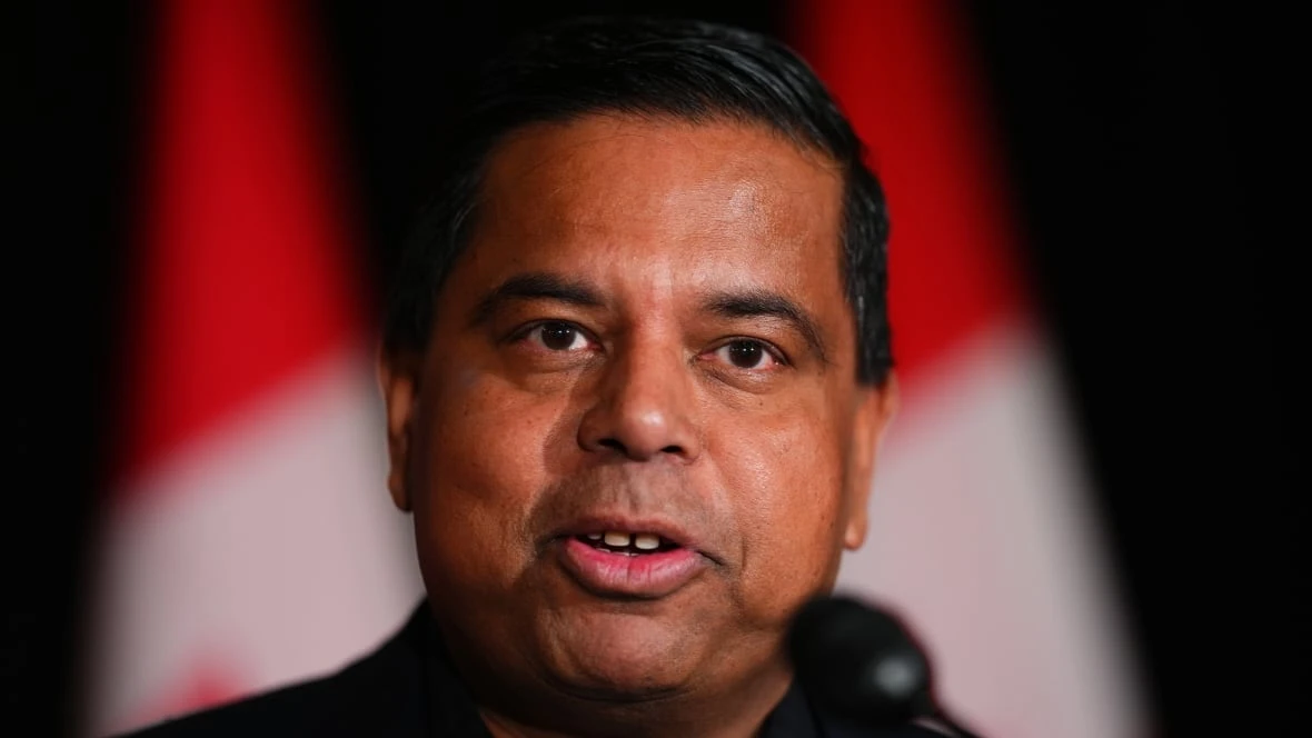 Foreign interference watchdog to be named next month, public safety minister says