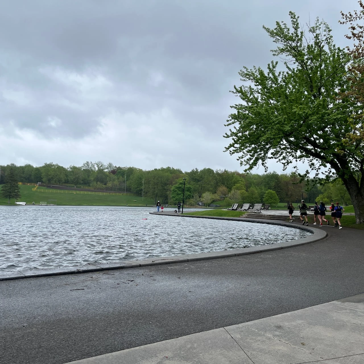 Montrealers mark 150th anniversary of emblematic Mount Royal Park