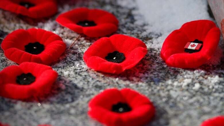 Royal Canadian Legion making headway combatting poppy trademark violations