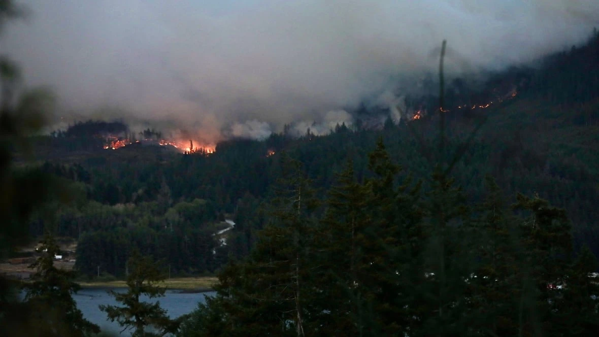 Wildfire crews hope for reprieve as rain falls on Vancouver Island blaze