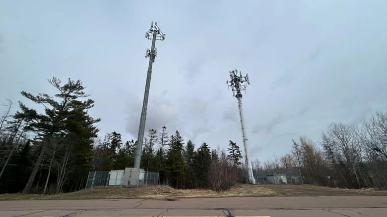 25-year old man dead after fall from Riverview cell tower