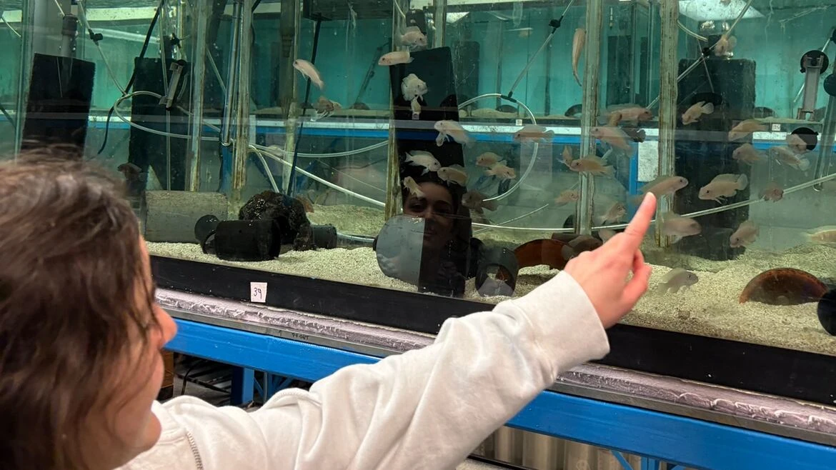 Sorry, Dory. McMaster grad says her research helps debunk the myth that fish have bad memories