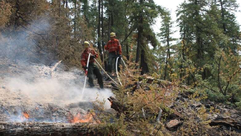 B.C. crews move to 'mop up' stage on many wildfires, but drought persists in the north