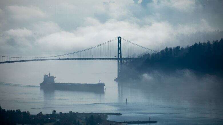 Dense fog creates near-zero visibility in Metro Vancouver, Fraser Valley