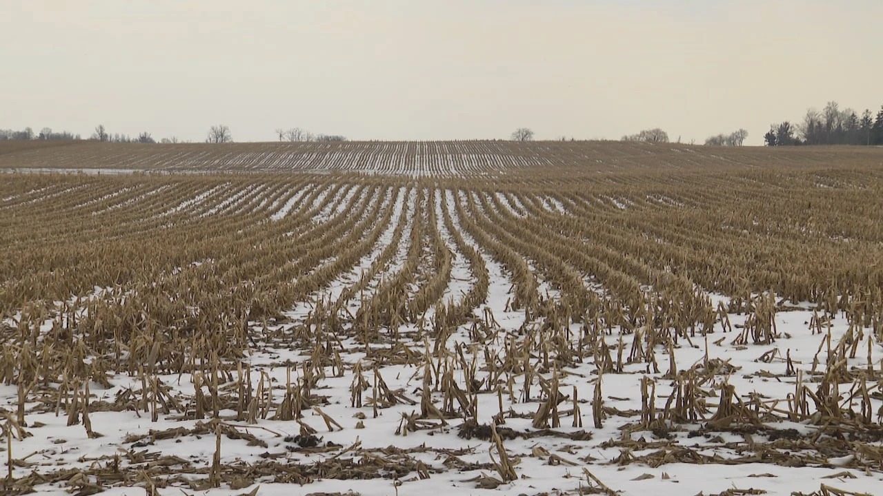 Pickering council approves controversial outline to develop rural lands in city’s northeast end