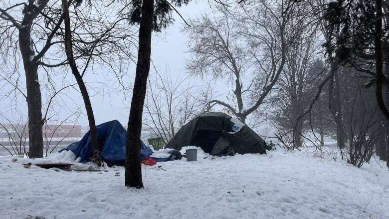 Homeless encampment returns to Notre-Dame Street as Montreal shelters reach capacity