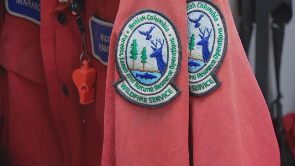 Wildfire prompts evacuation order, highway closure in northeastern B.C.