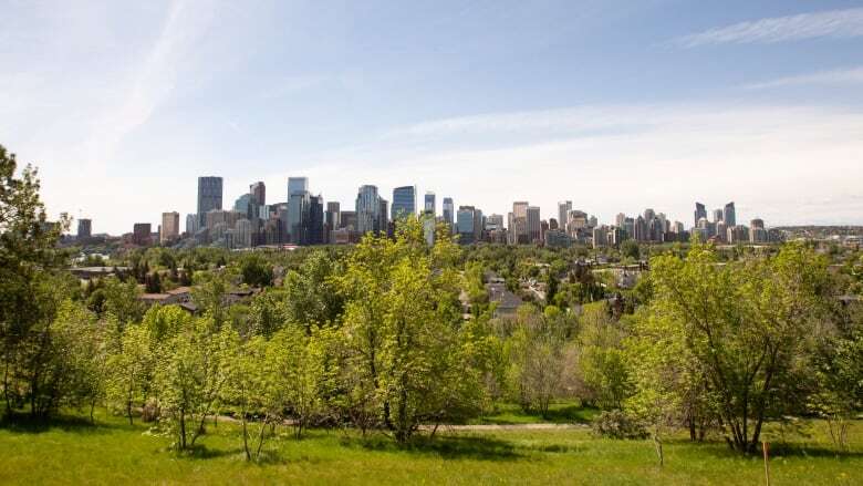 Calgary arborists concerned about city's trees as dryness continues, water restrictions loom