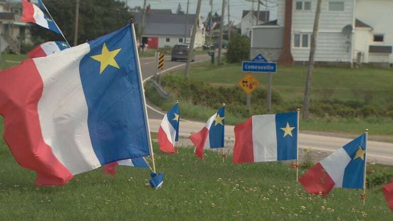 N.S. Supreme Court rules Chéticamp should have protected Acadian electoral district