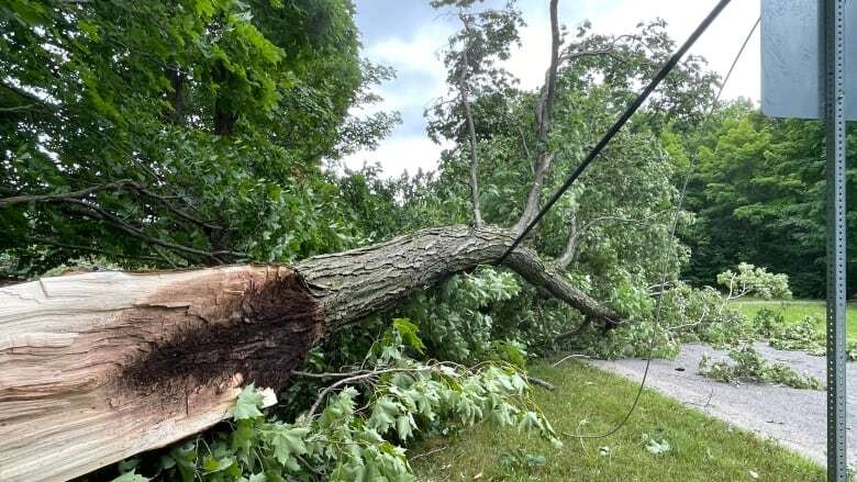 Tornado hit Perth area Wednesday evening, experts confirm