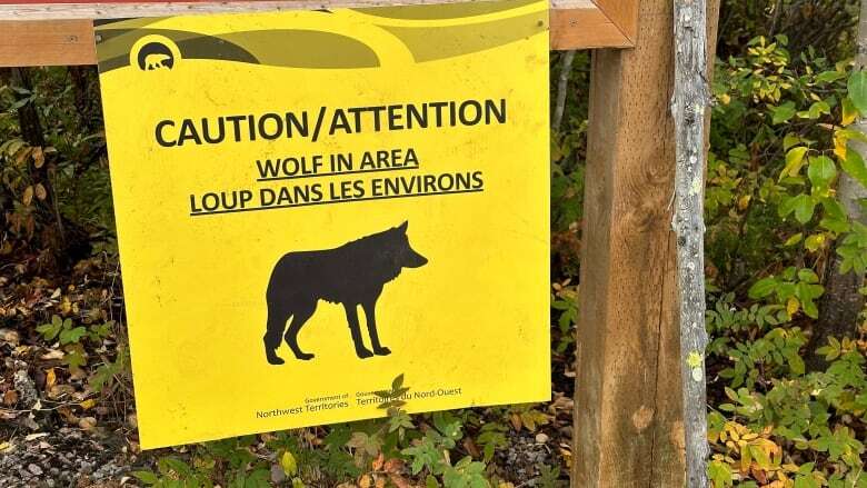 2nd person bit by wolf near Yellowknife in a month