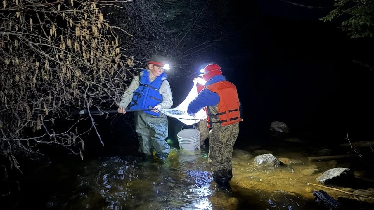 Some students in northwestern Ontario are going out fishing at midnight. Here's why