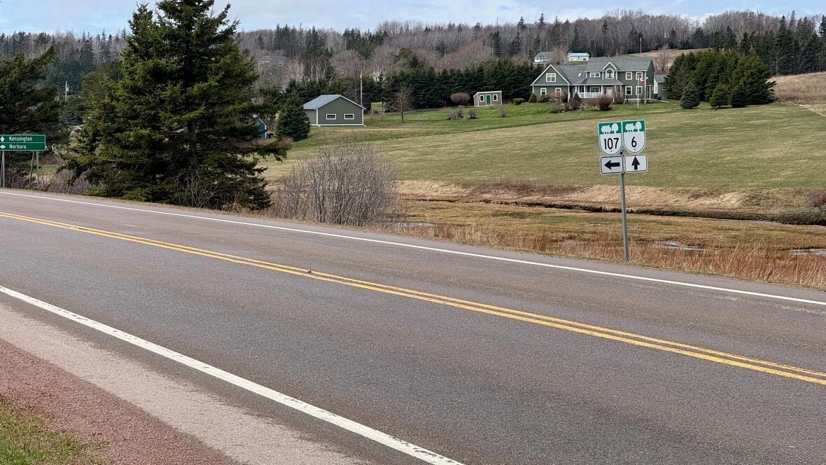 Survivor of collision in P.E.I. that killed partner has impaired driving case put over to fall
