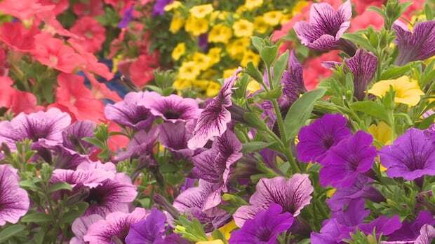 Baskets of Hope keeps the memory alive of those lost to suicide and addictions