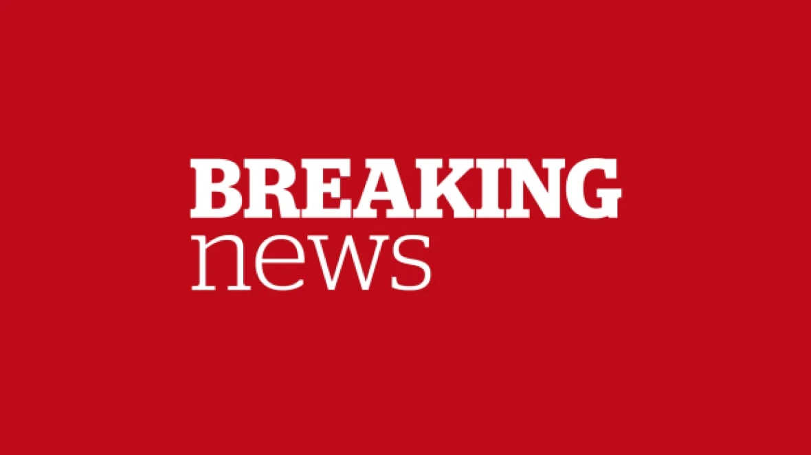 Suspect in alleged child abduction, fatal Brampton, Ont., shooting shot dead: police