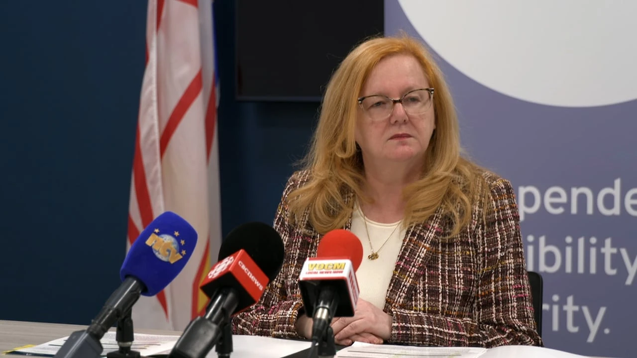 AG slams previous Liberal government over unpreparedness, fraud risk