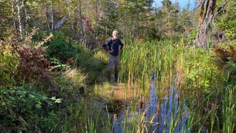 Discovery of potential wetland halts work at eastern P.E.I. wind farm