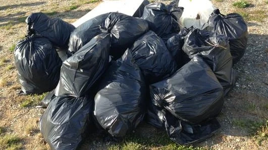 City garbage inspectors pursue illegal dumpers by sifting through their trash