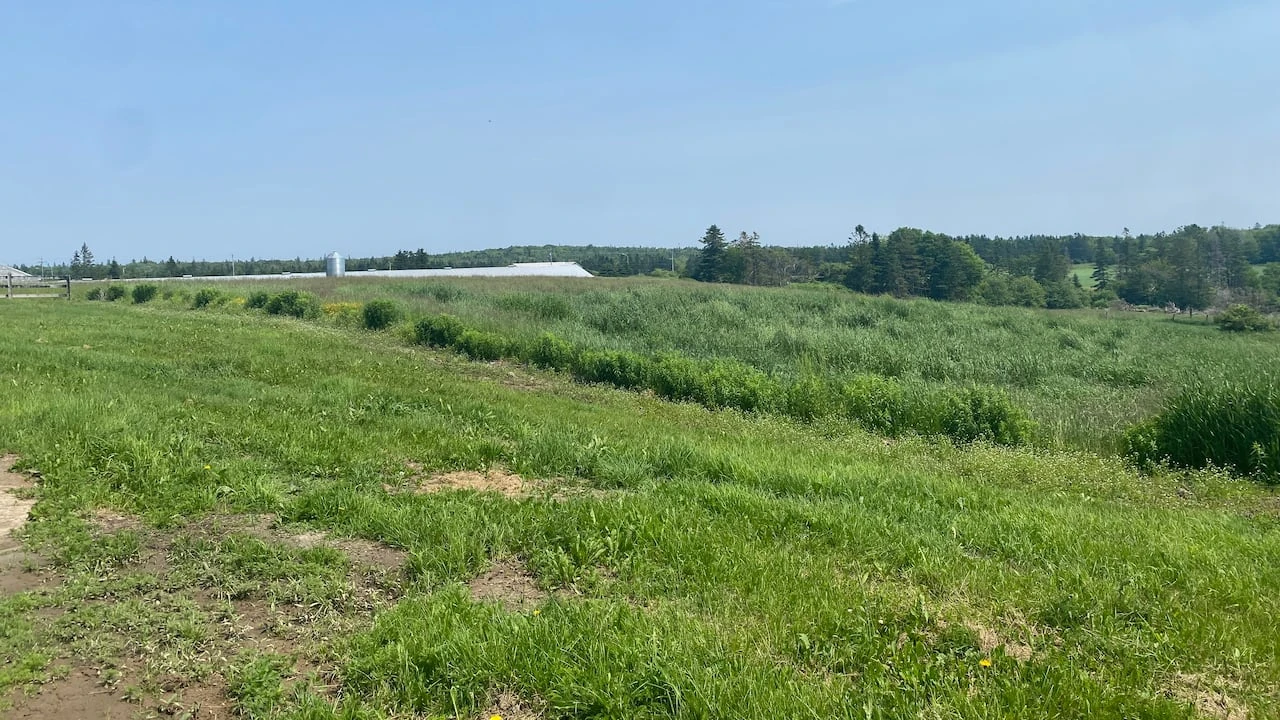'No happy medium': Cape Breton farms adapt to weather extremes
