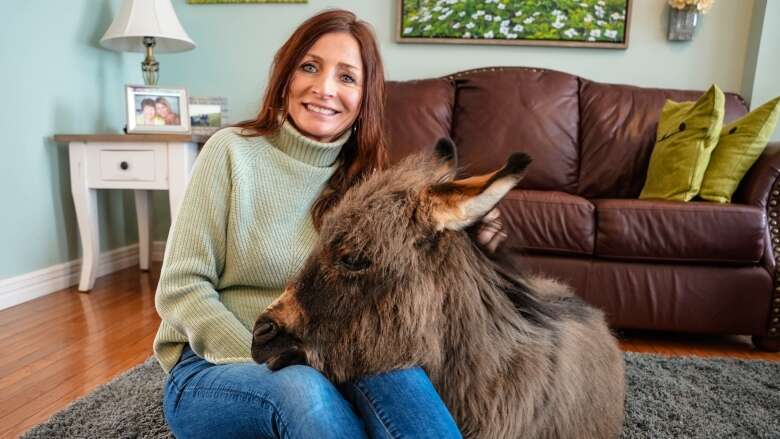 Seamus the donkey is bringing smiles, good vibes to Bonavista North