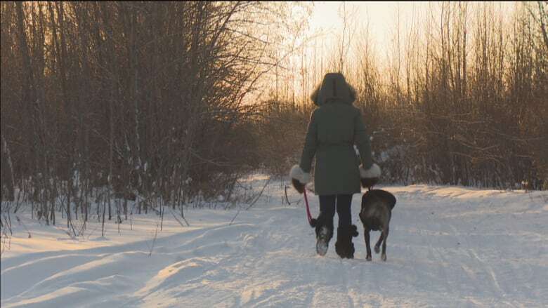 Northern Ontario fur trapping group warns pet owners to keep pets close-by on Crown Land