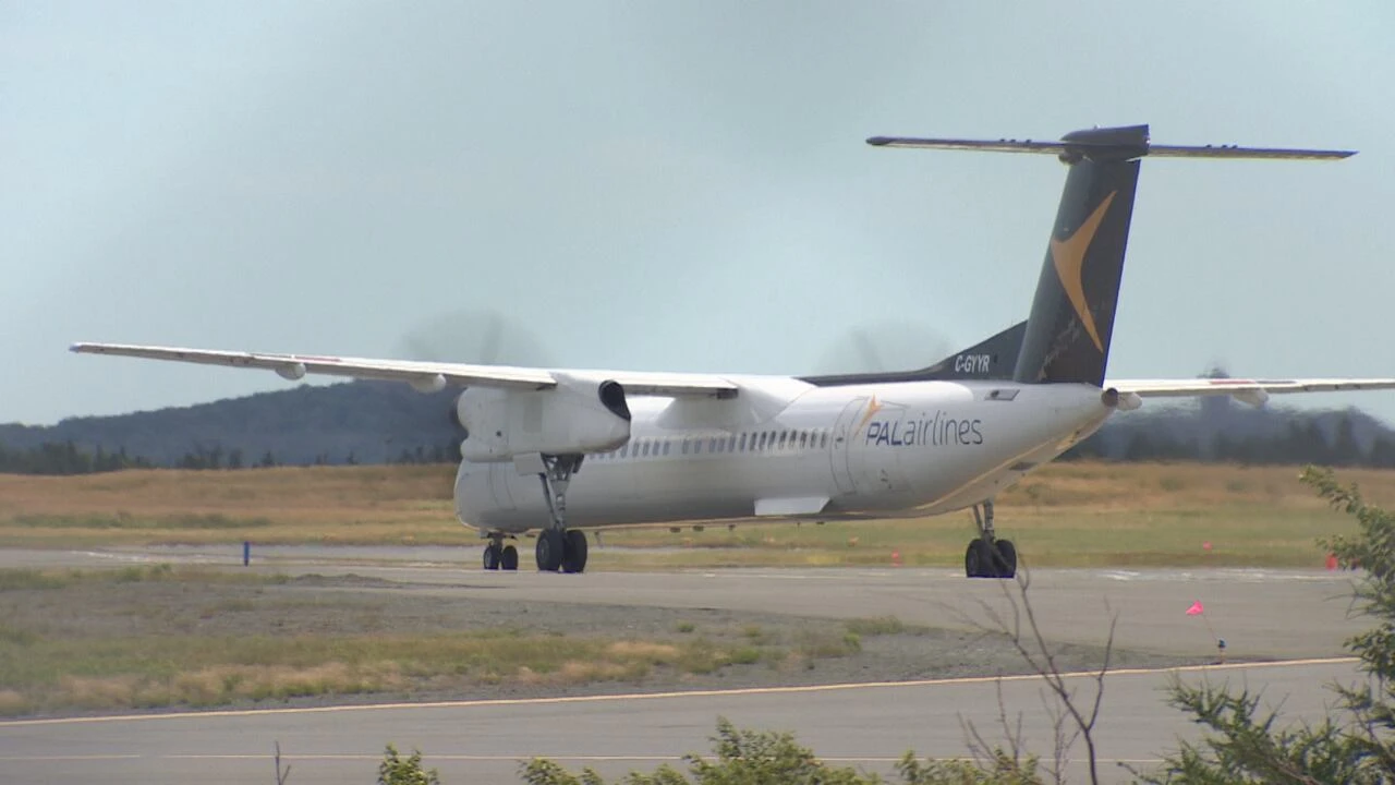 ‘The need is there’: Liberals ask why N.L. government ended Labrador Air Access pilot program