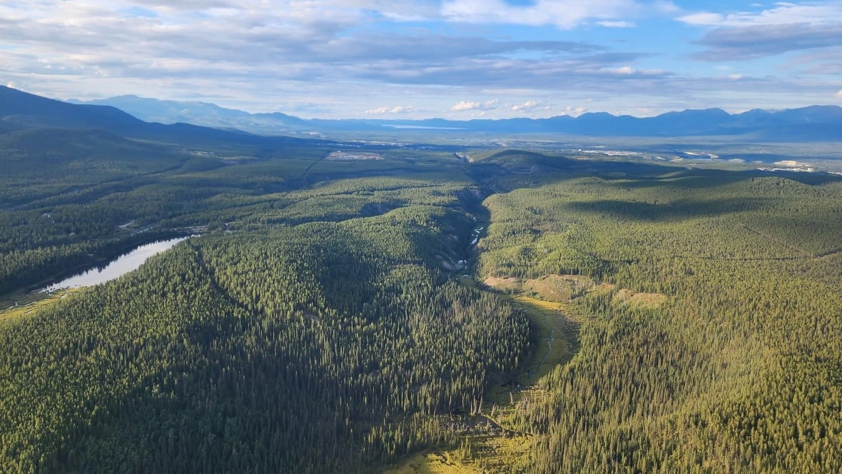 Whitehorse's McIntyre Creek area is now a territorial park