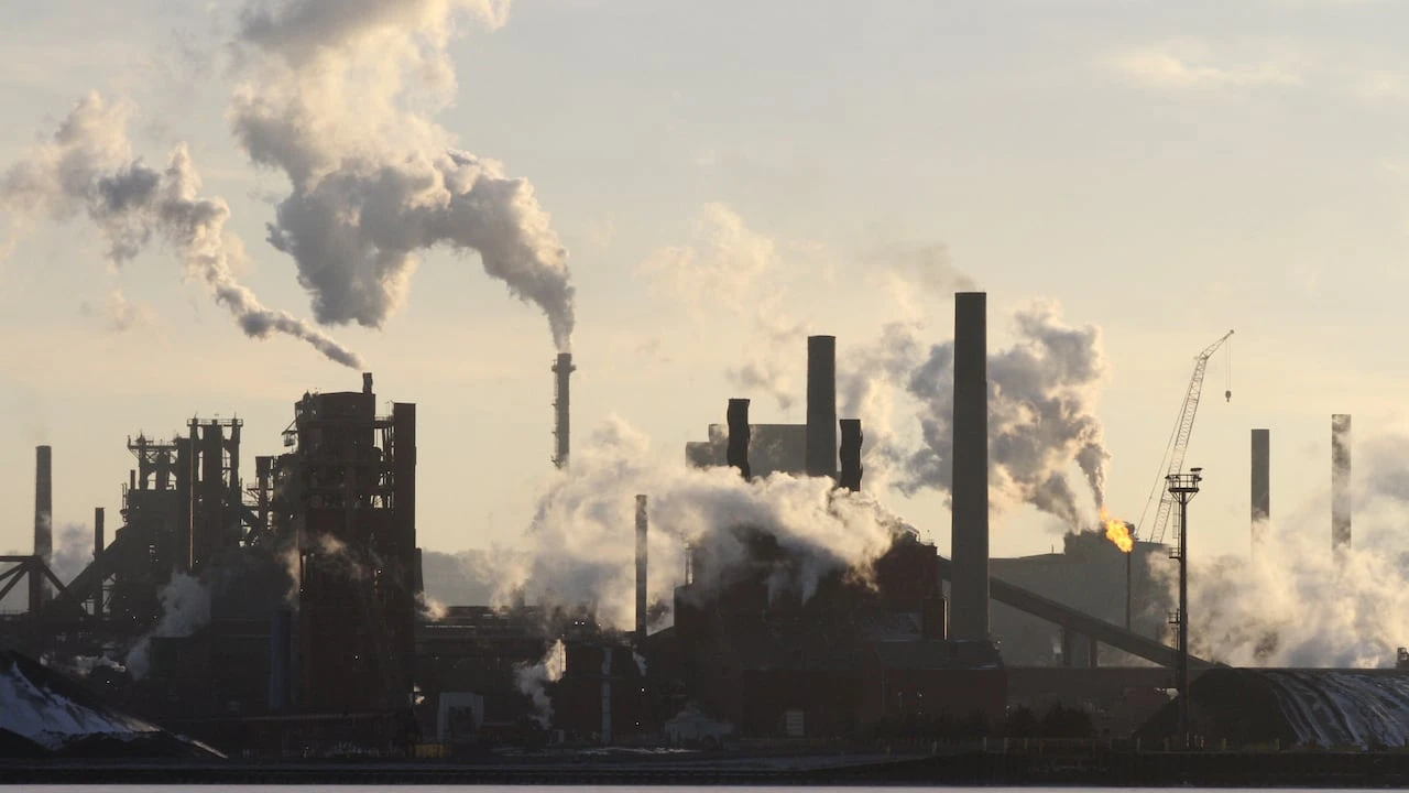 Environment Hamilton laments Ontario changes that will limit publicly-available government information