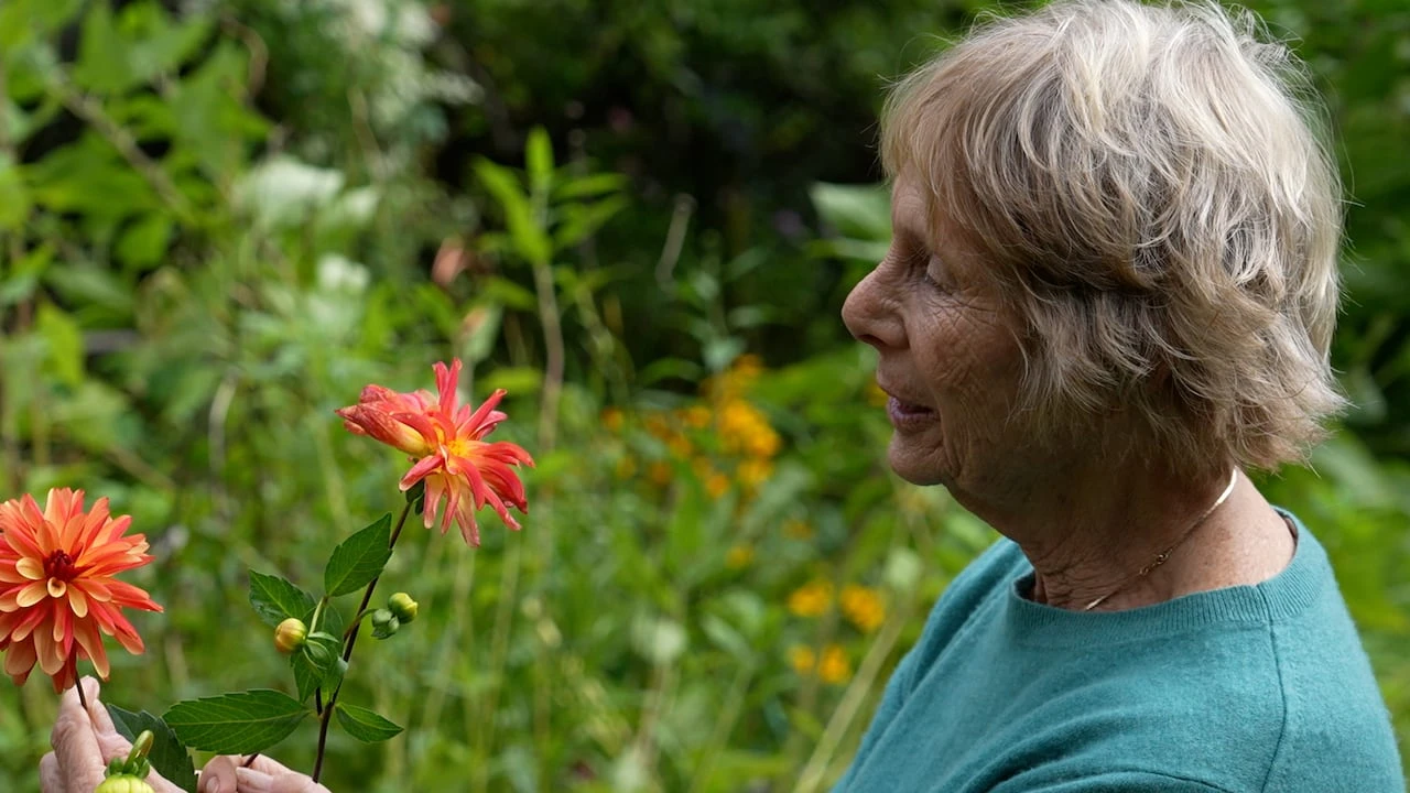 Elderly patients living in remote parts of B.C. forced to travel to save their sight — or pay