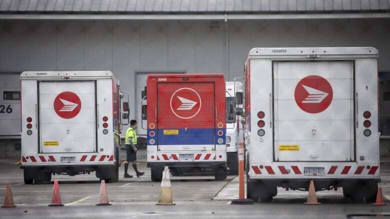 Small and rural B.C. businesses face shipping cost jump as Canada Post workers strike