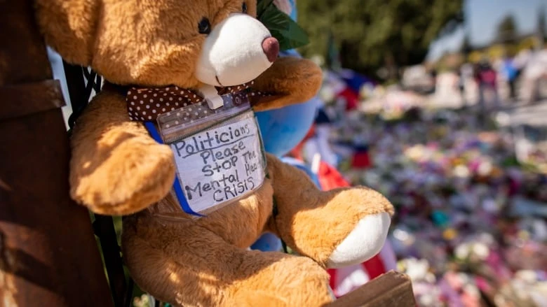 Calls grow for more mental health care in B.C. in wake of Vancouver festival tragedy