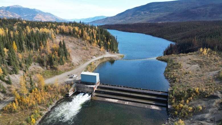 Advocates call on Yukon Energy to consider salmon in plans to relicense Mayo dam