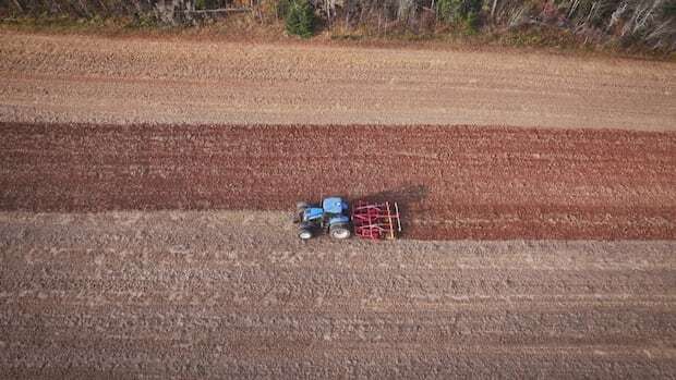 Many P.E.I. potato growers are digging their fields differently, to help the soil and environment