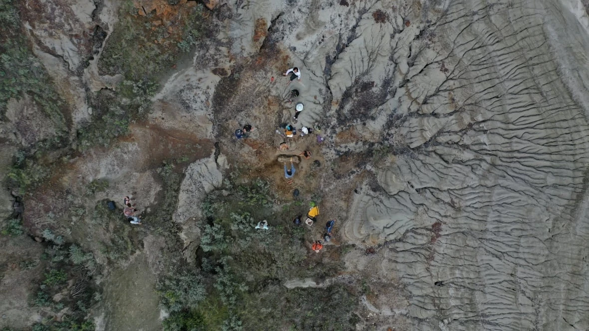 Dinos, meet drones: How new technology could reshape the fossil record