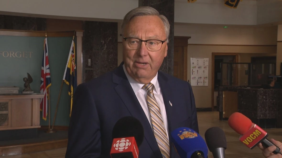 PC leader says current use of future cash 'misleading' people about N.L.'s finances