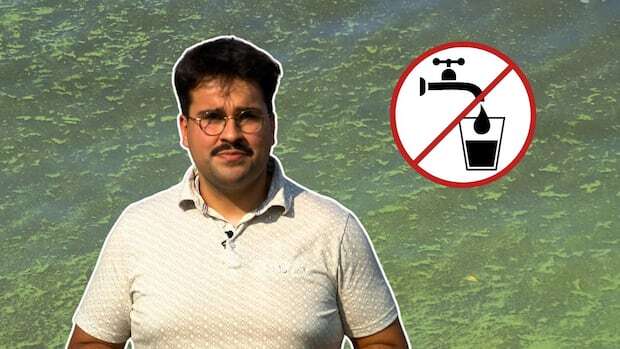 Why blue-green algae is still a problem in Quebec’s Eastern Townships